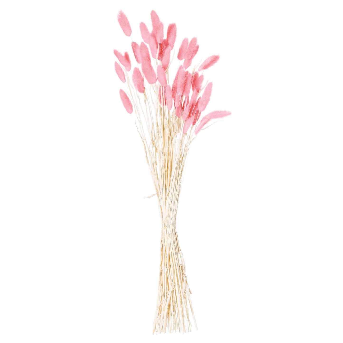 Set of 40 Dried Pale Pink Bunny Tail Bunch