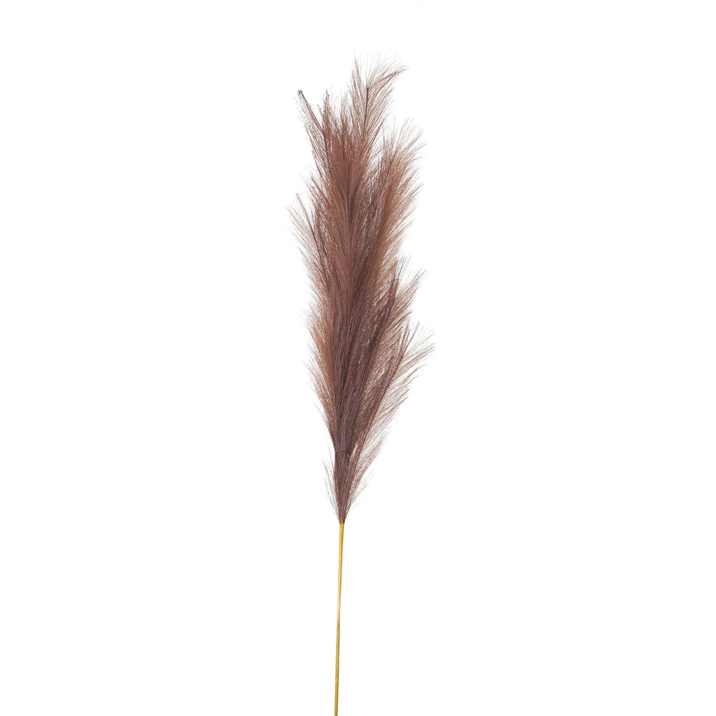 Set of 3 Taupe Large Faux Pampas Grass Stems