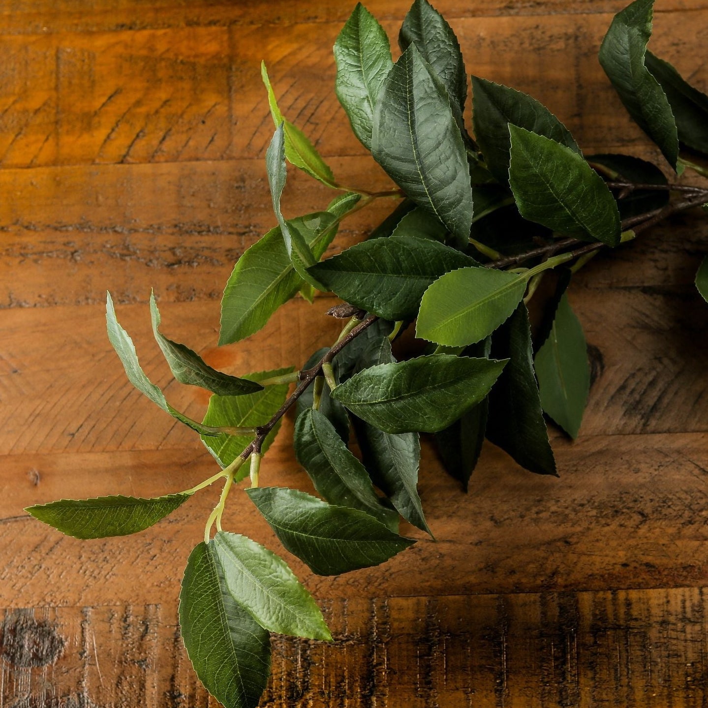 Set of 3 Artificial Flowers Laurel Leaf Sprays