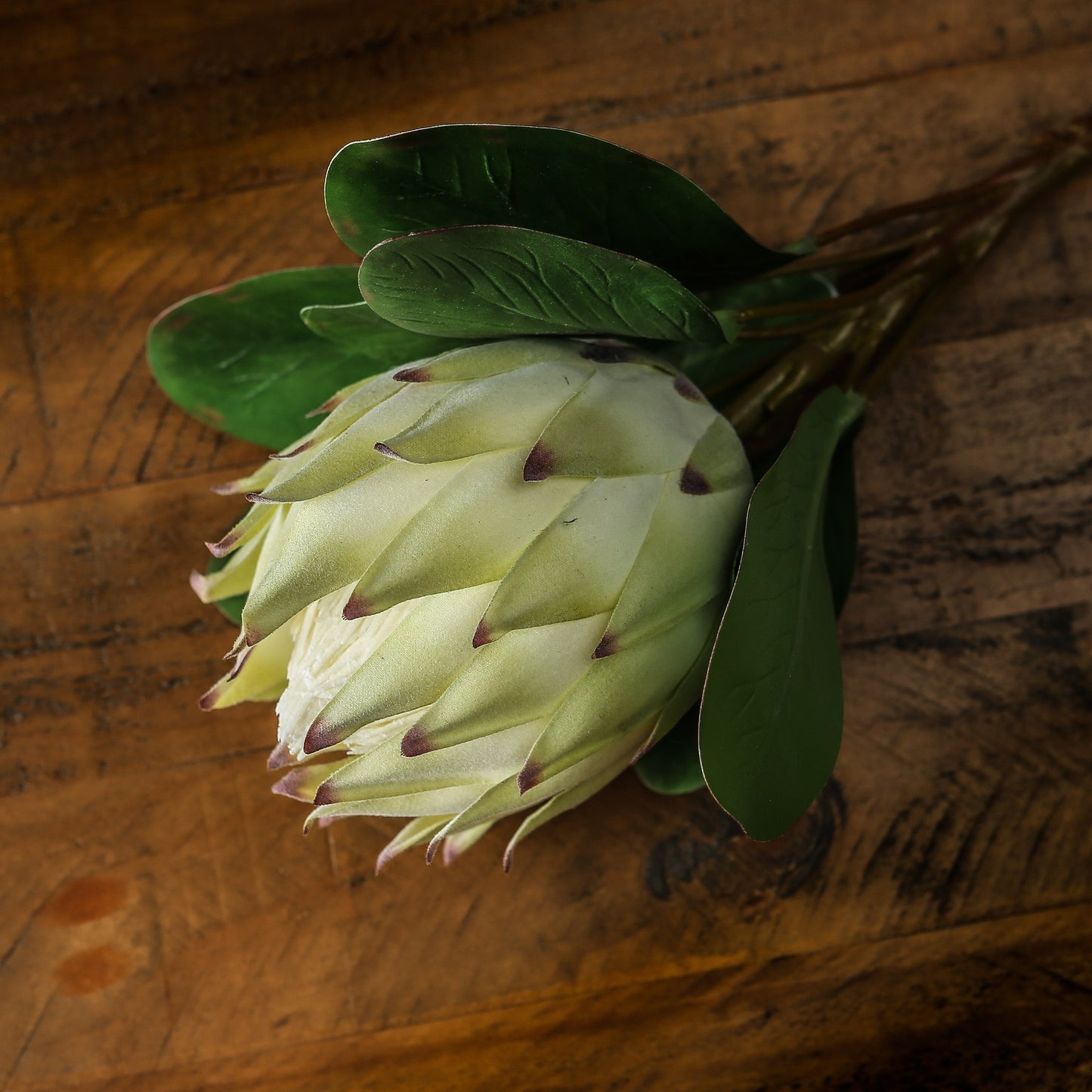 Set of 3 Artificial Flowers Large White Protea