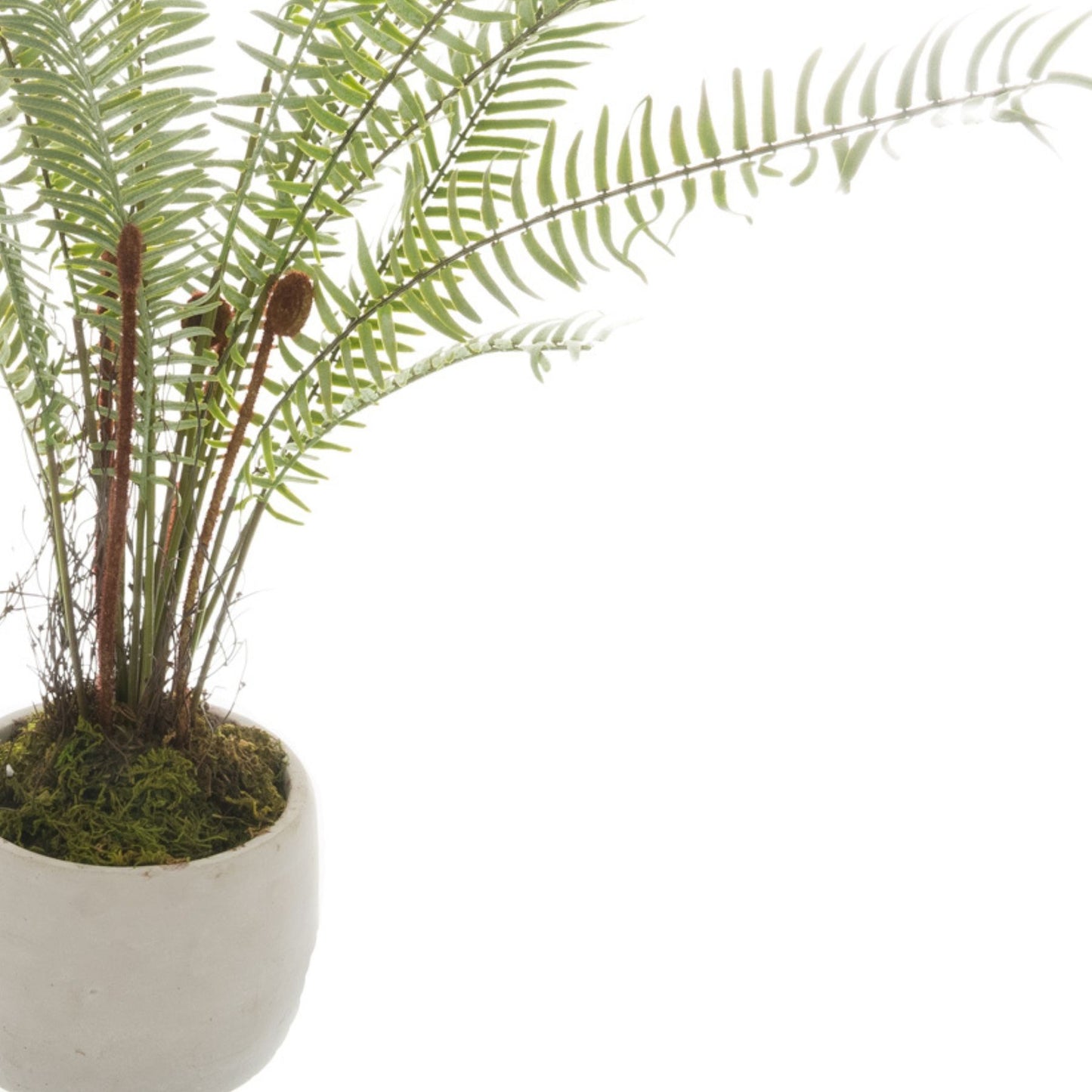 Artificial Boston Fern Plant with White Ceramic Pot