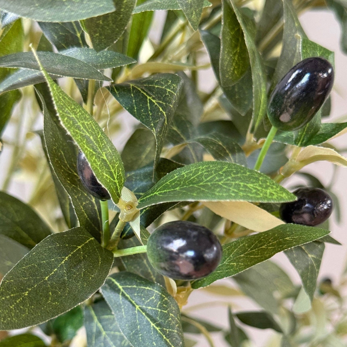 Toscana 180cm Tall Artificial Olive Tree (pot not included)