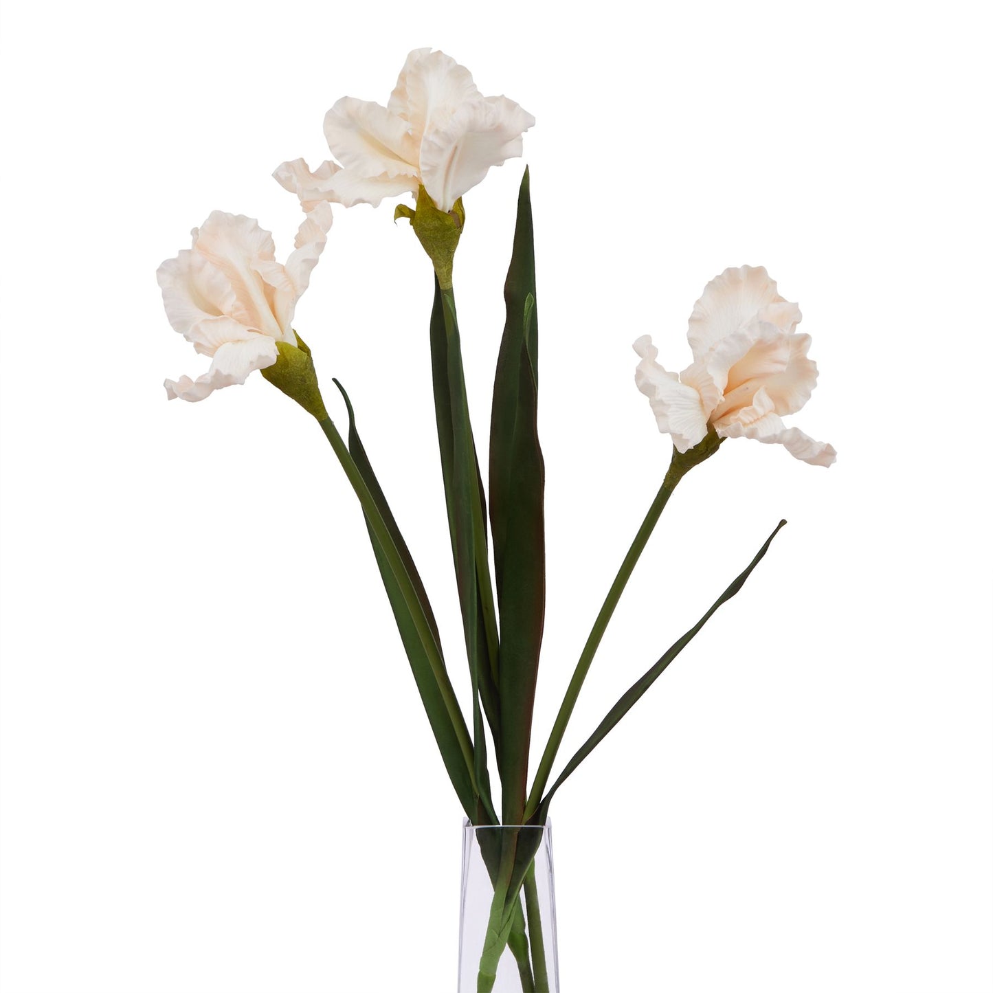 Set of 3 Artificial Flowers Pale Apricot Fringed Iris Stems