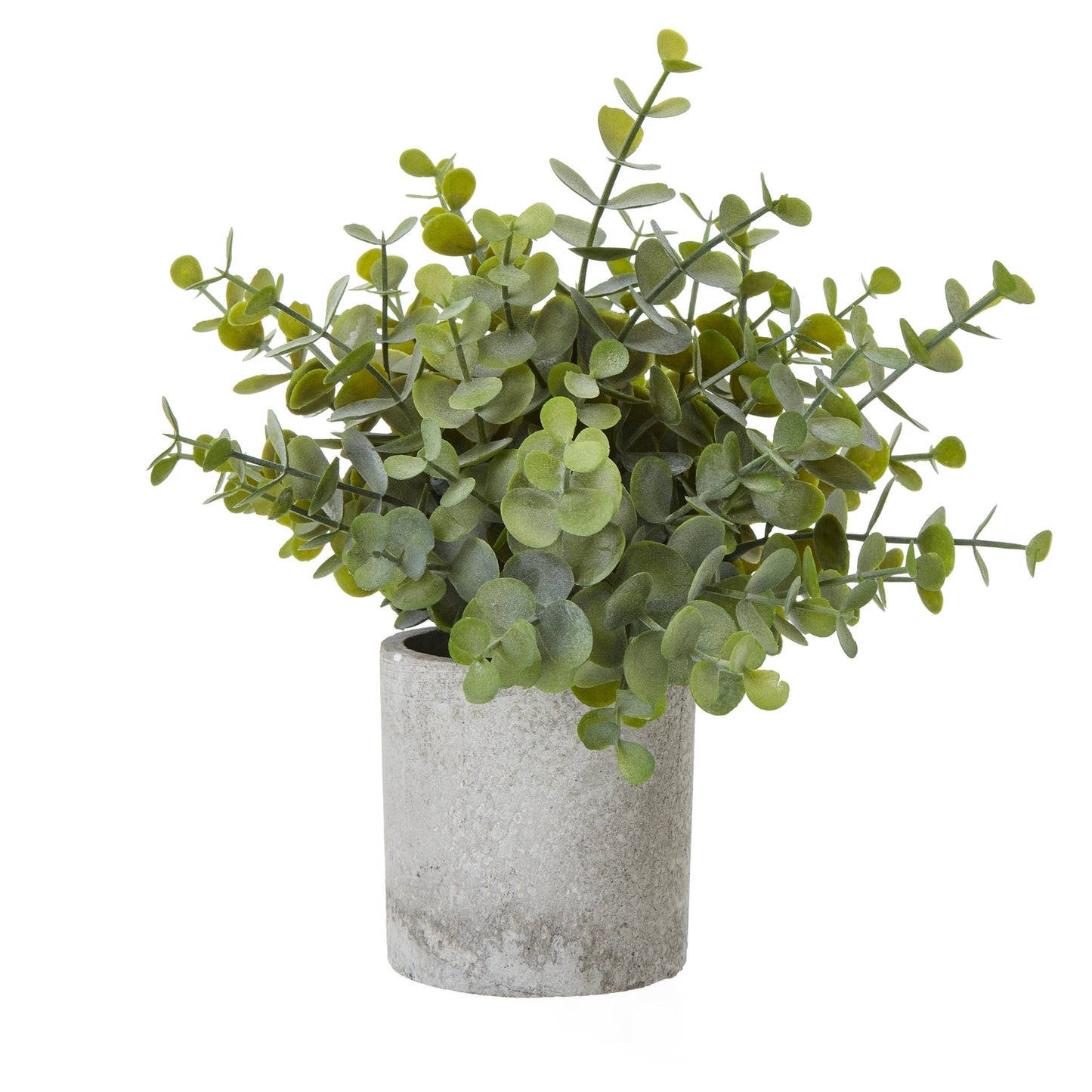 Small Artificial Button Eucalyptus Plant In Grey Creamic Pot