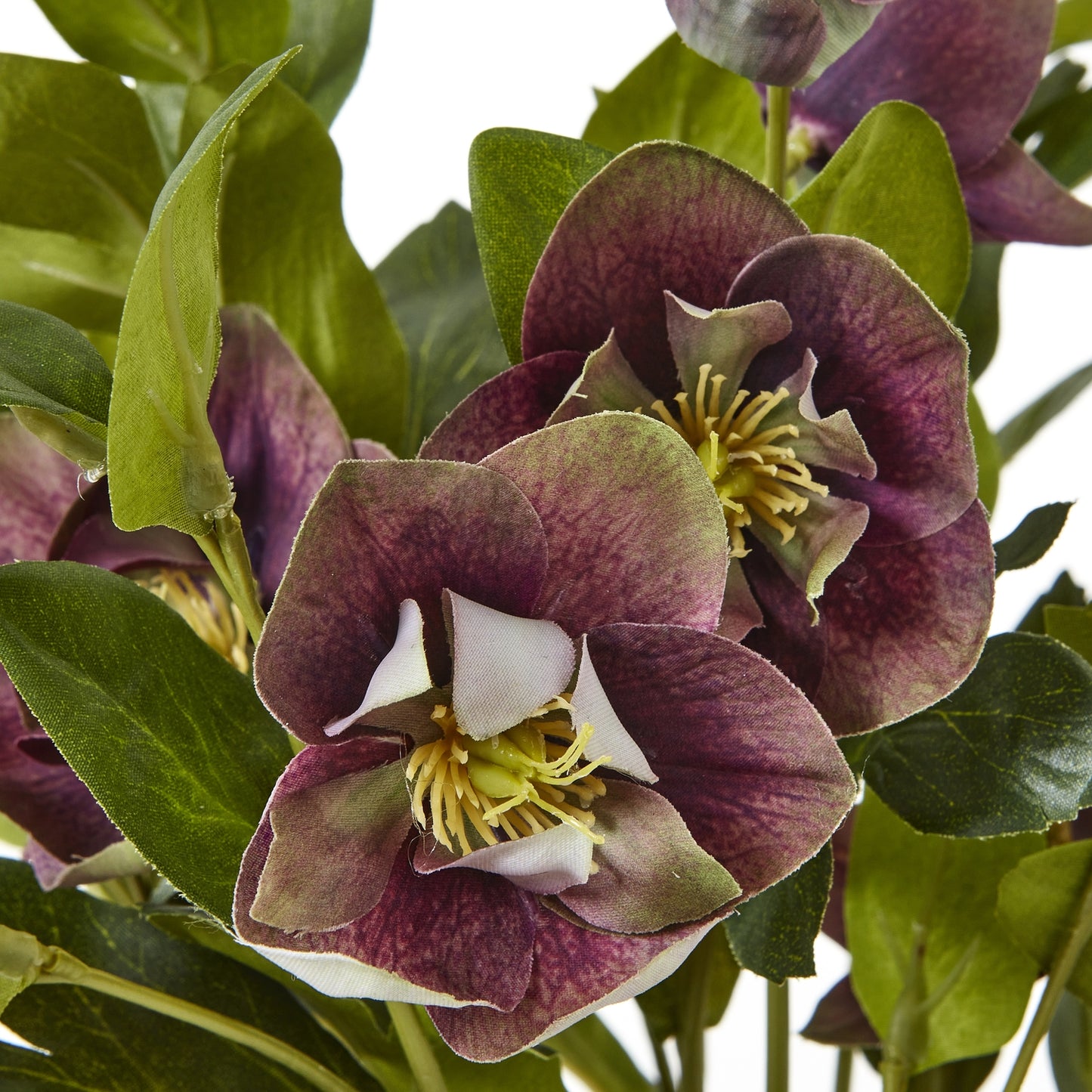 Artificial Plant Deep Plum Hellebore Plant In Brown Ceramic Pot