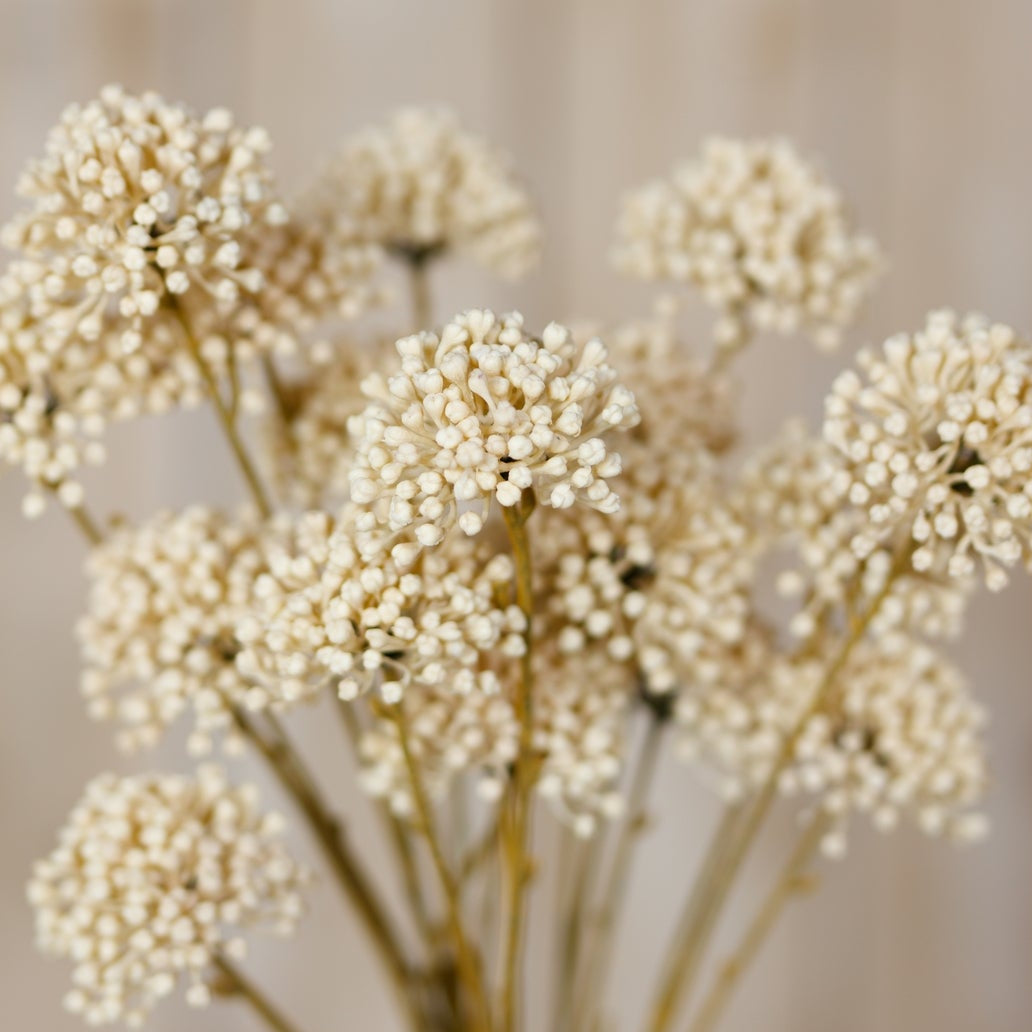 Set of 3 Artificial Flowers Cream Allium Sprays