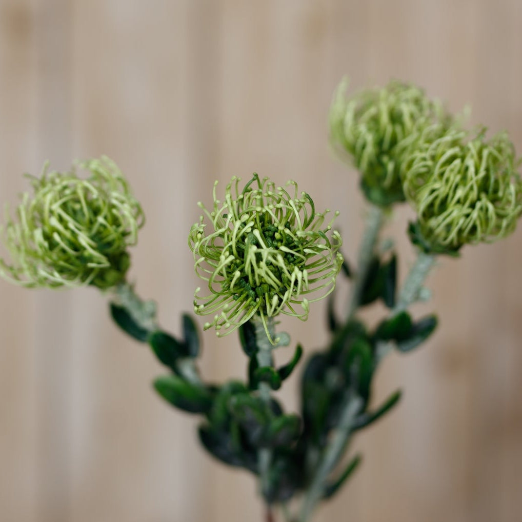 Set of 3 Artificial Flowers Green Pincushion Protea Sprays