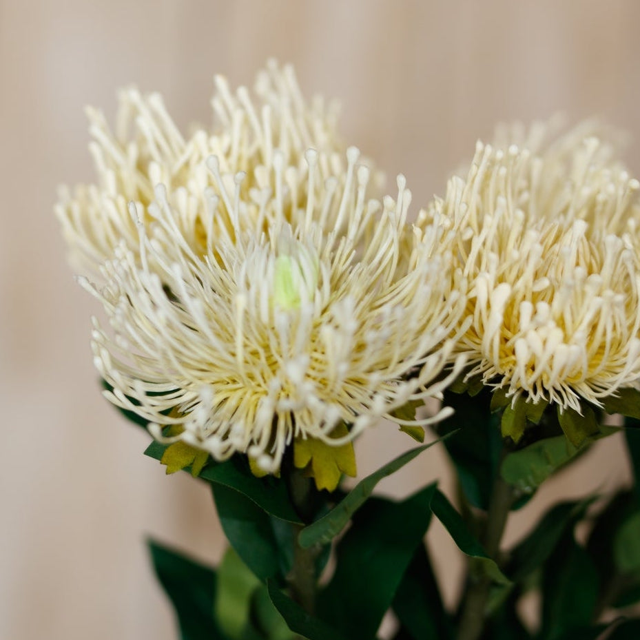 Set of 3 Artificial Flowers Cream Protea Lorea Stems