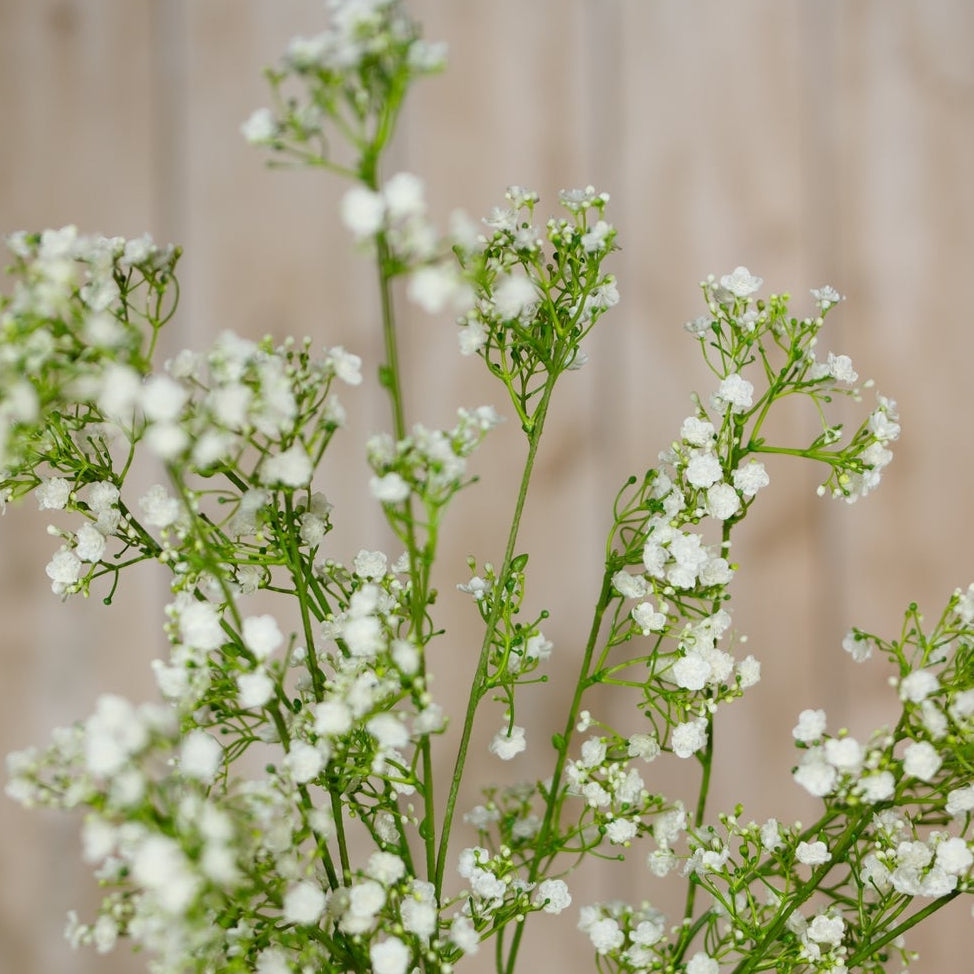 Set of 3 Artificial Flowers Cream Gypsophila Sprays