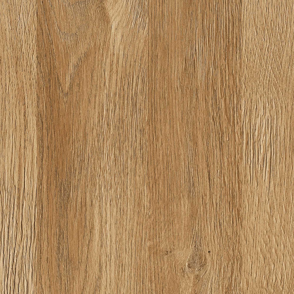 Cortina 2 Door 1 Drawer Tall TV Cabinet in Grandson Oak