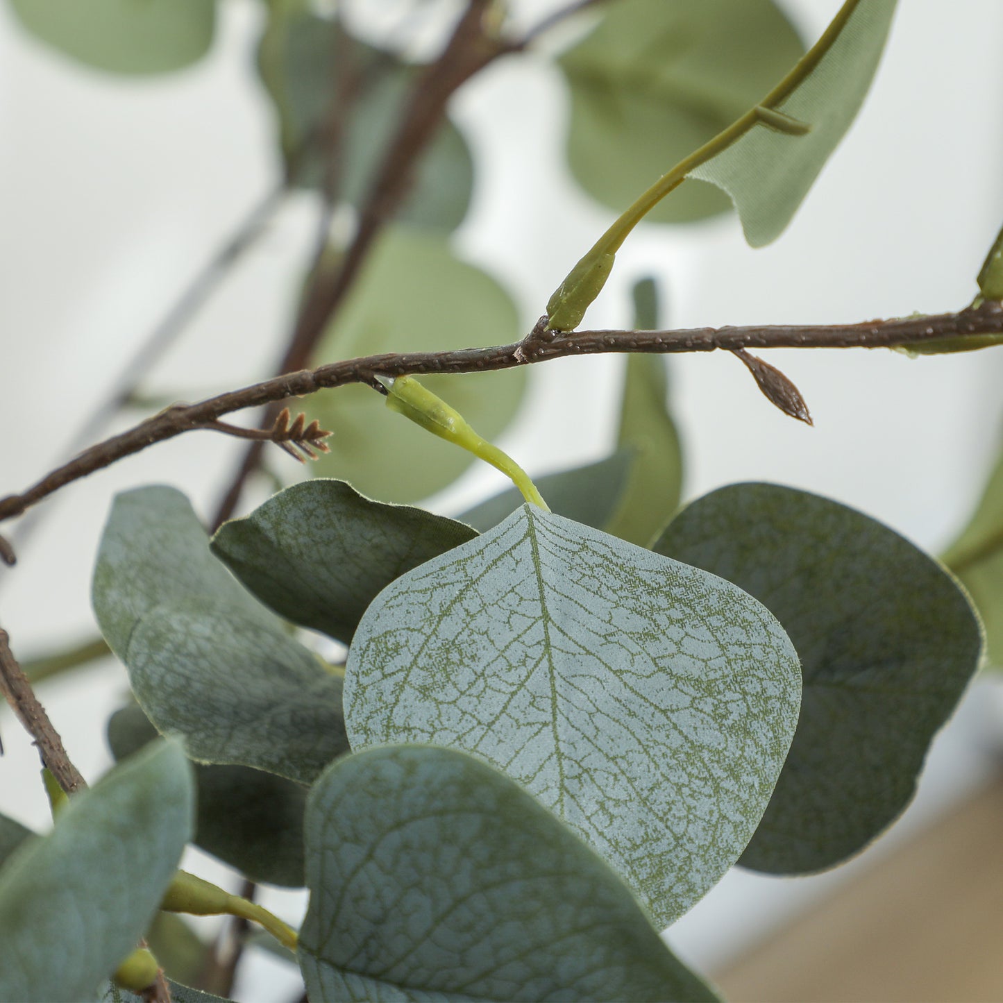 Sulu Set Of 2 Artificial Eucalyptus Style Trees With Silver Dollar Leaf Detail In Pots