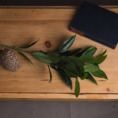 Set of 3 Artificial Flowers Faux Bay Leaf Sprays