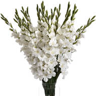 Set of 3 Artificial Flowers White Gladioli Stems