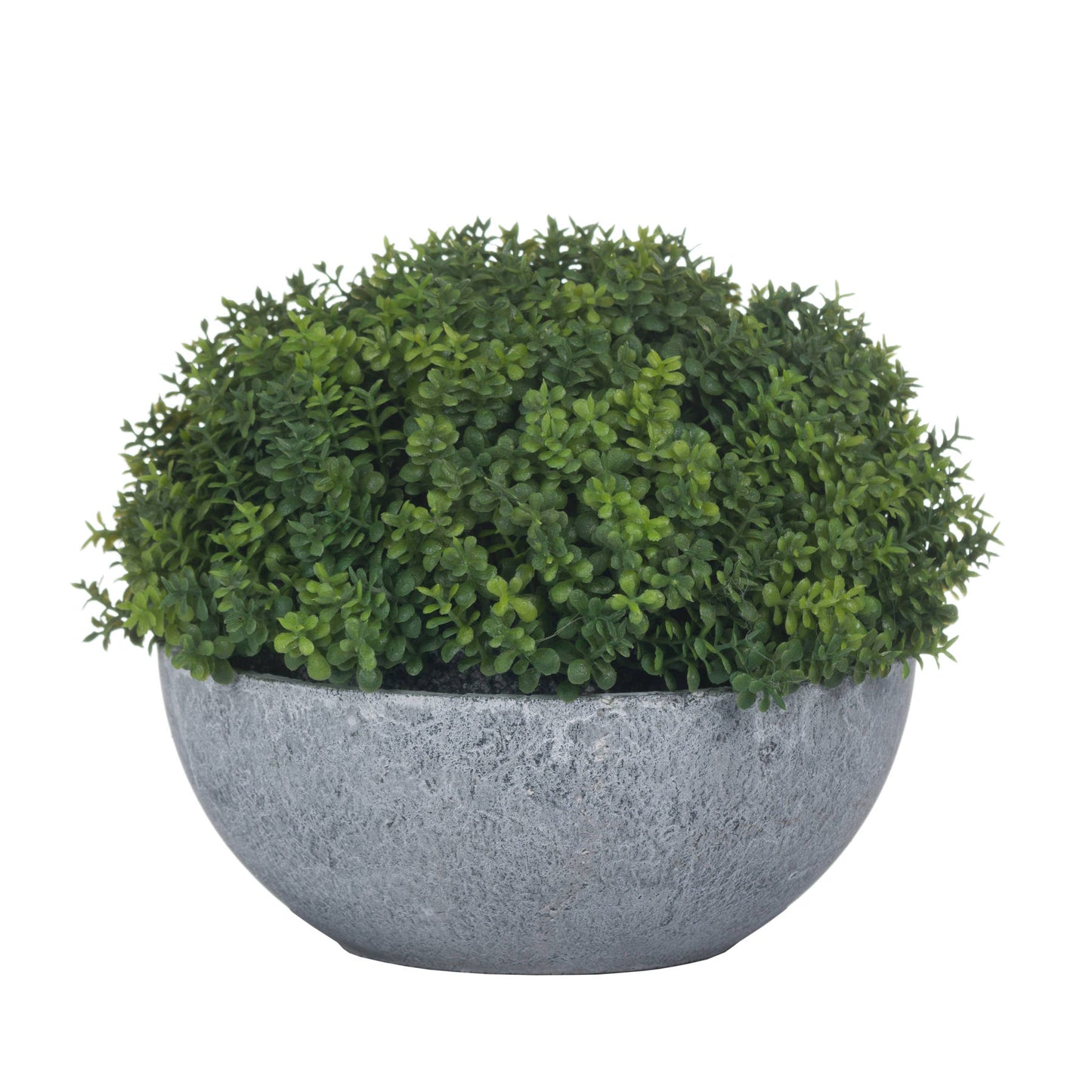 Small Artificial Hebe Globe Plant in Grey Ceramic Pot
