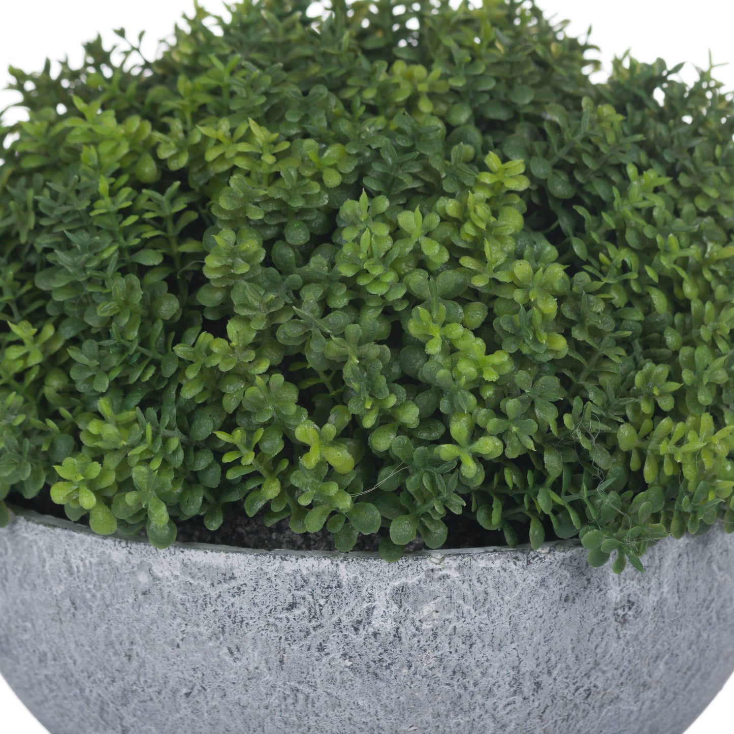 Small Artificial Hebe Globe Plant in Grey Ceramic Pot
