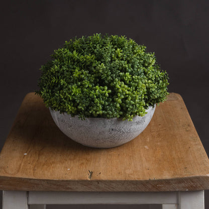Small Artificial Hebe Globe Plant in Grey Ceramic Pot