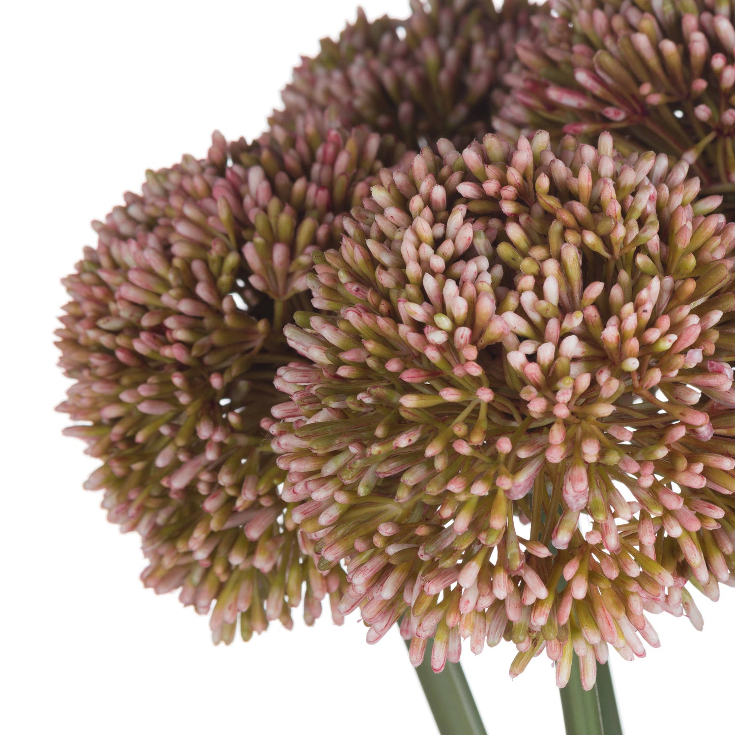 Set of 3 Artificial Flowers Pink Allium Stems