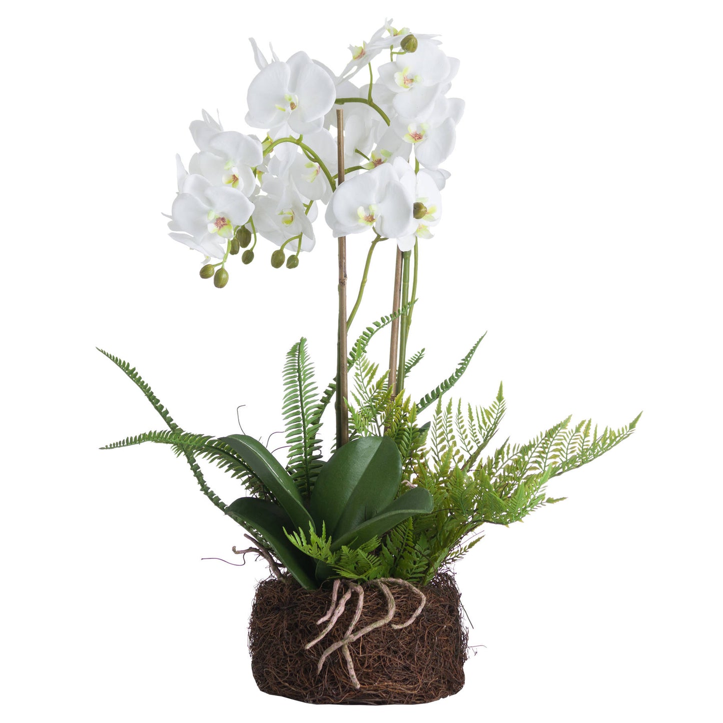 Artificial Plant Large White Orchid Flowers and Fern in Rootball
