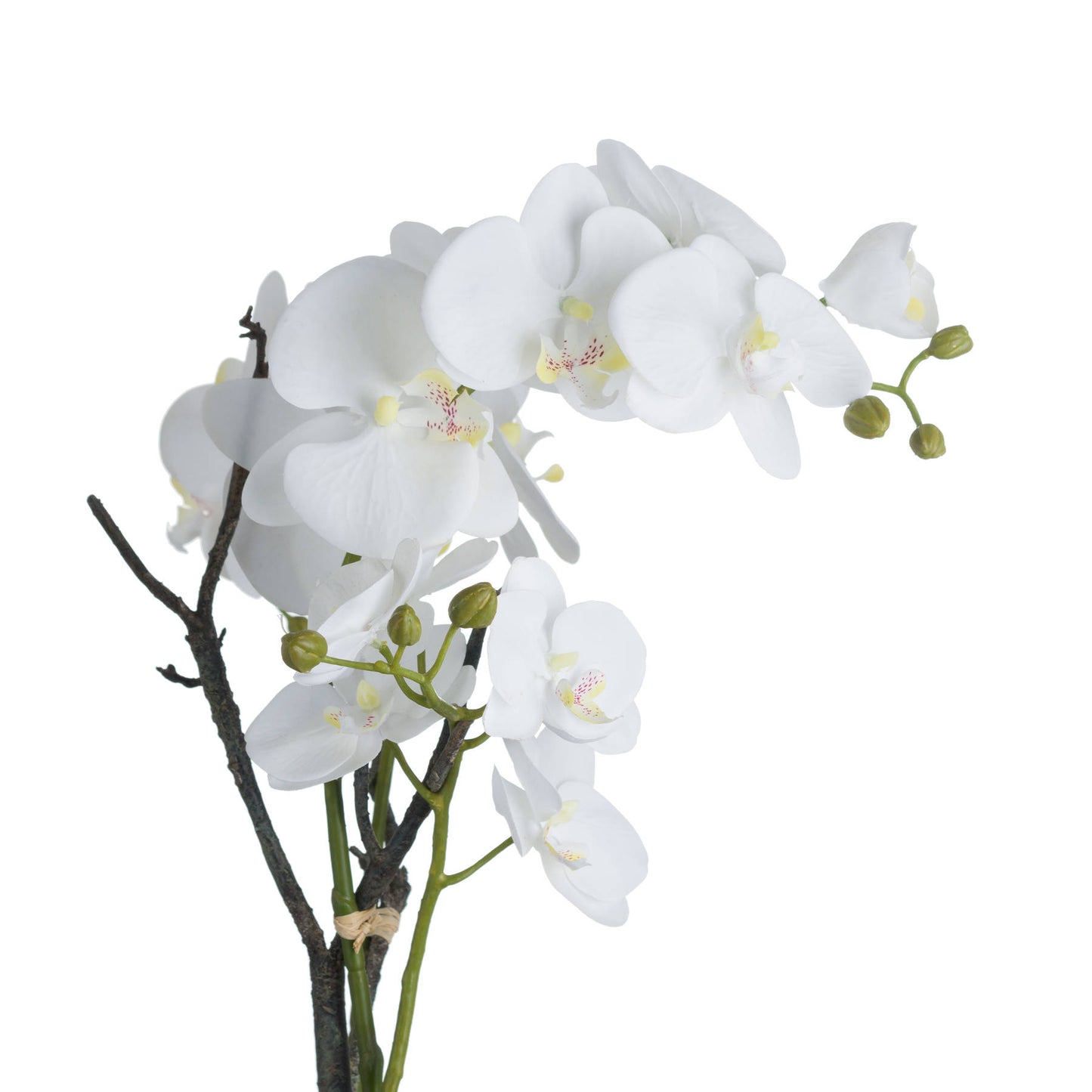 Artificial Plant White Orchid in Ceramic Pot