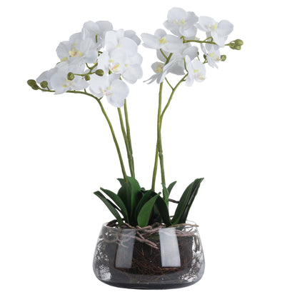 Artificial Flowers White Orchid in Glass Pot