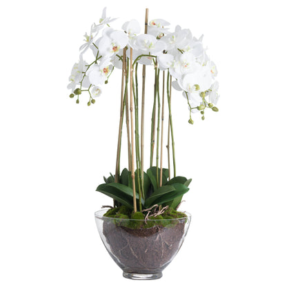 Artificial Flowers Large White Orchid in Glass Pot