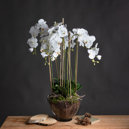 Artificial Flowers Large White Orchid in Glass Pot