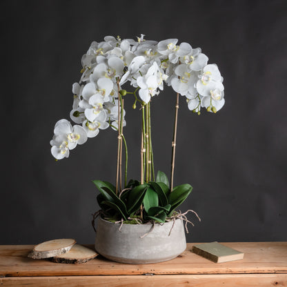 Artificial Flowers Large White Orchid in Stone Pots