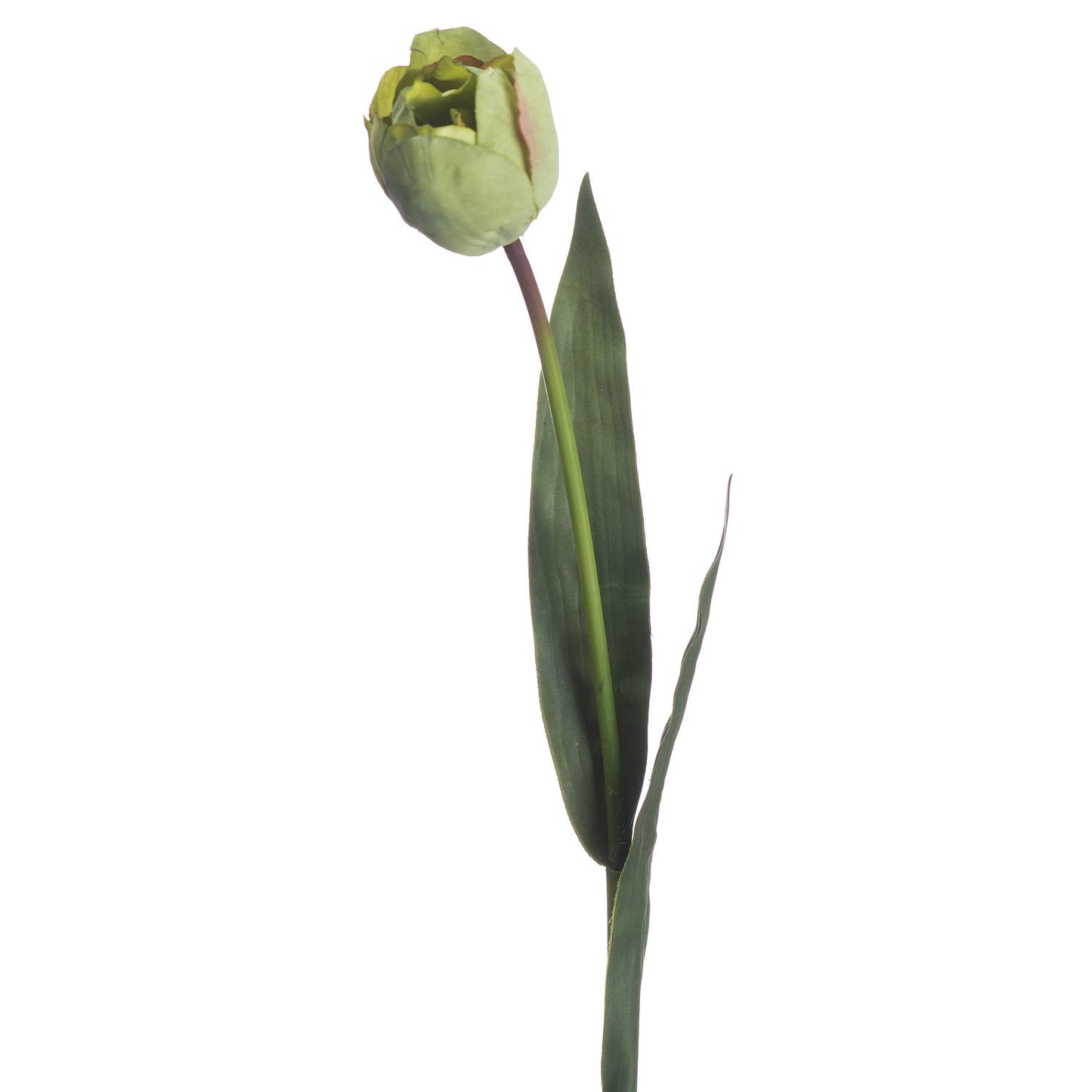 Set of 3 Artificial Flowers Green Tulip Stems