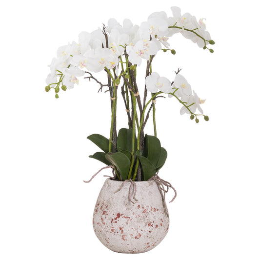 Artificial Plant Large Stone Potted Orchid With Roots