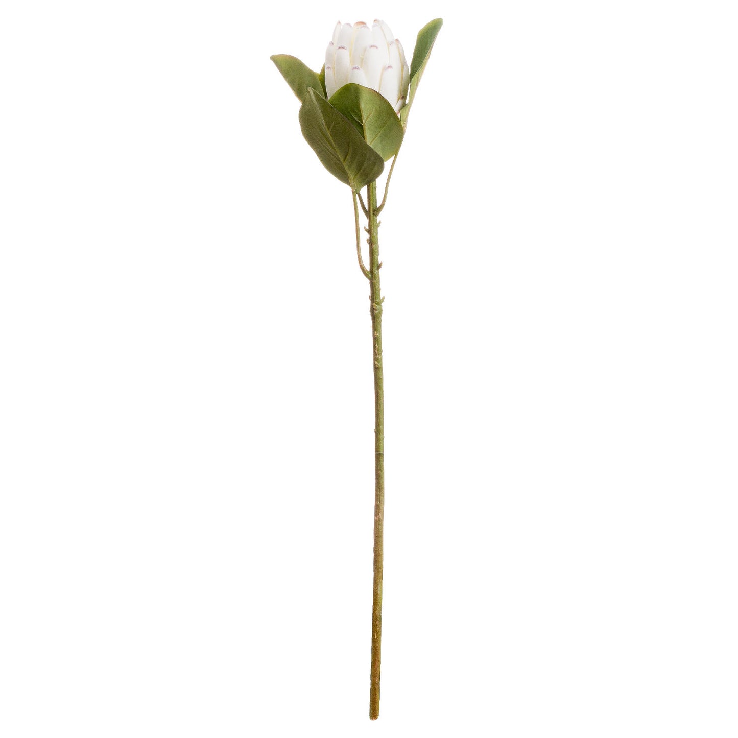 Set of 3 Artificial Flowers Closed White Protea Stems