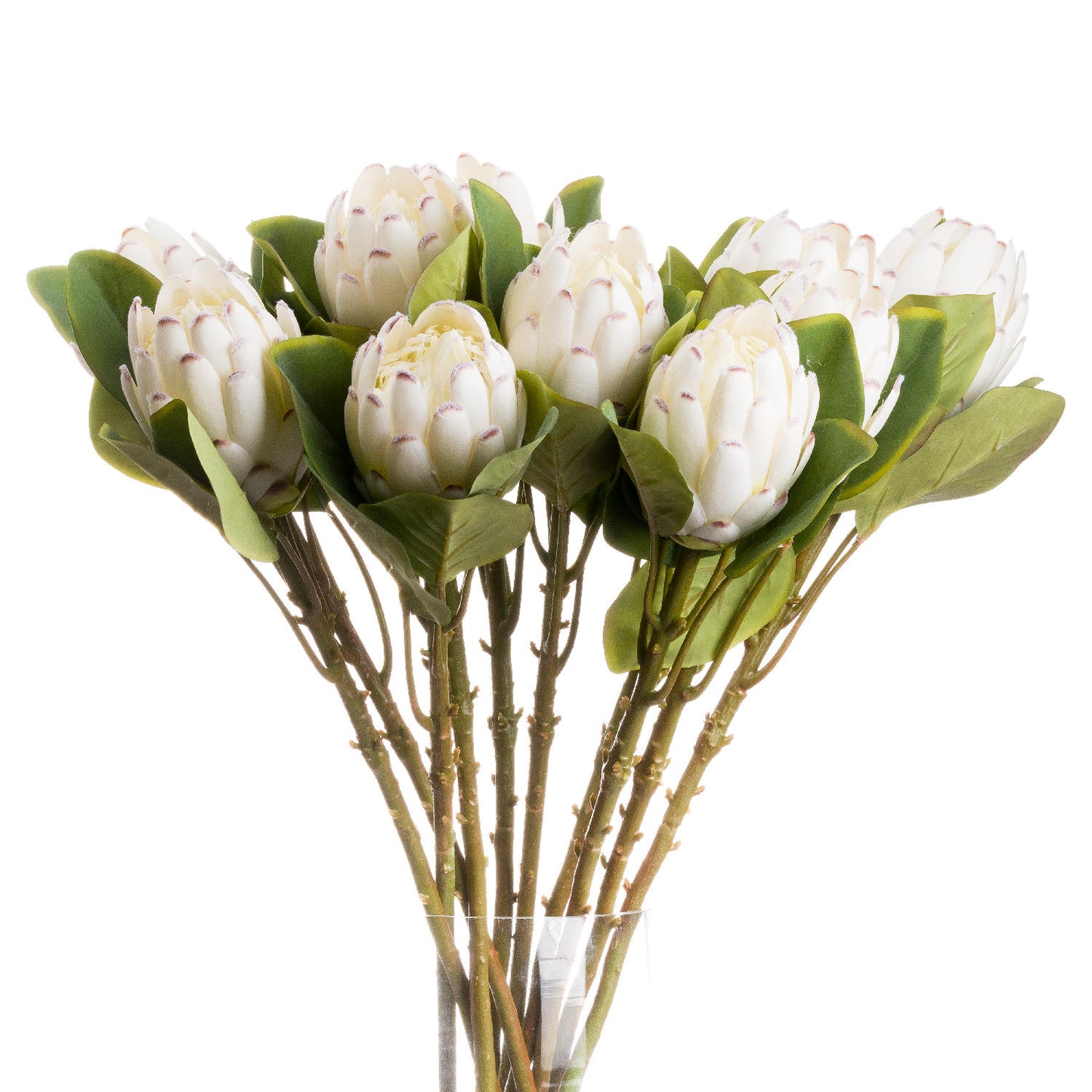 Set of 3 Artificial Flowers Closed White Protea Stems