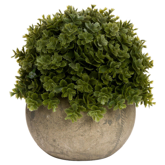 Artificial Plant Miniature Hebe Veronica in Ceramic Pot