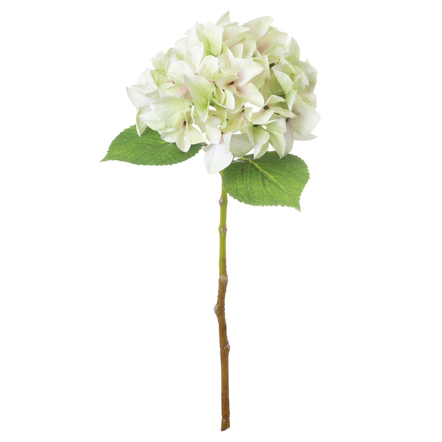 Set of 3 Artificial Flowers Shabby Green Single Hydrangea Stems