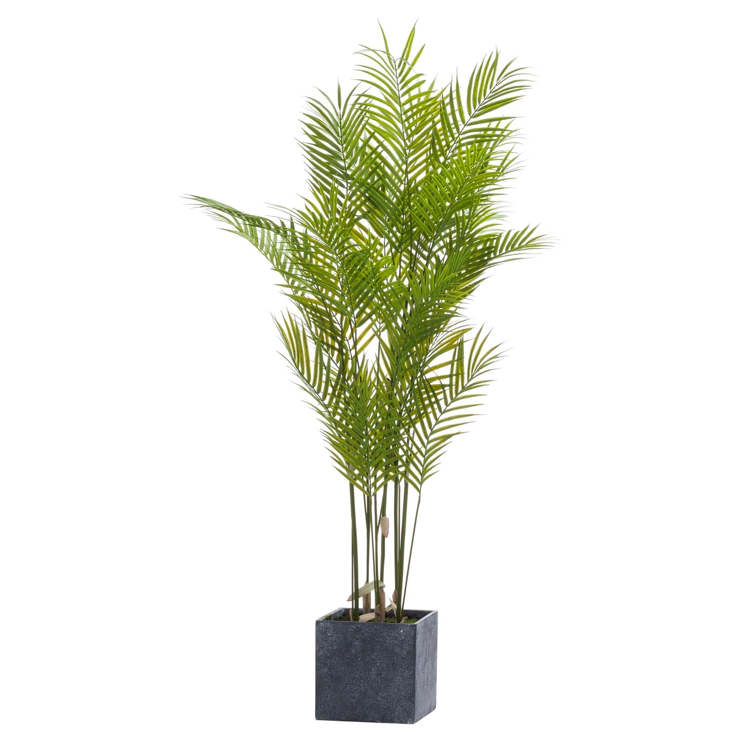Large Artificial Paradise Palm Tree in Dark Grey Ceramic Pot