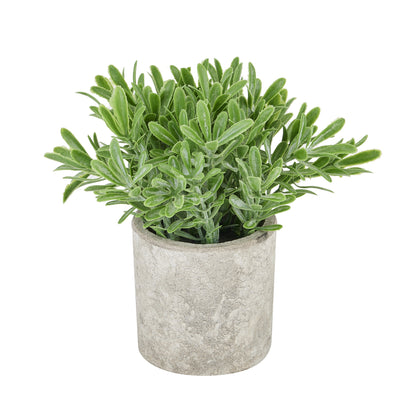Buxus Artificial Plant In Stone Effect Pot