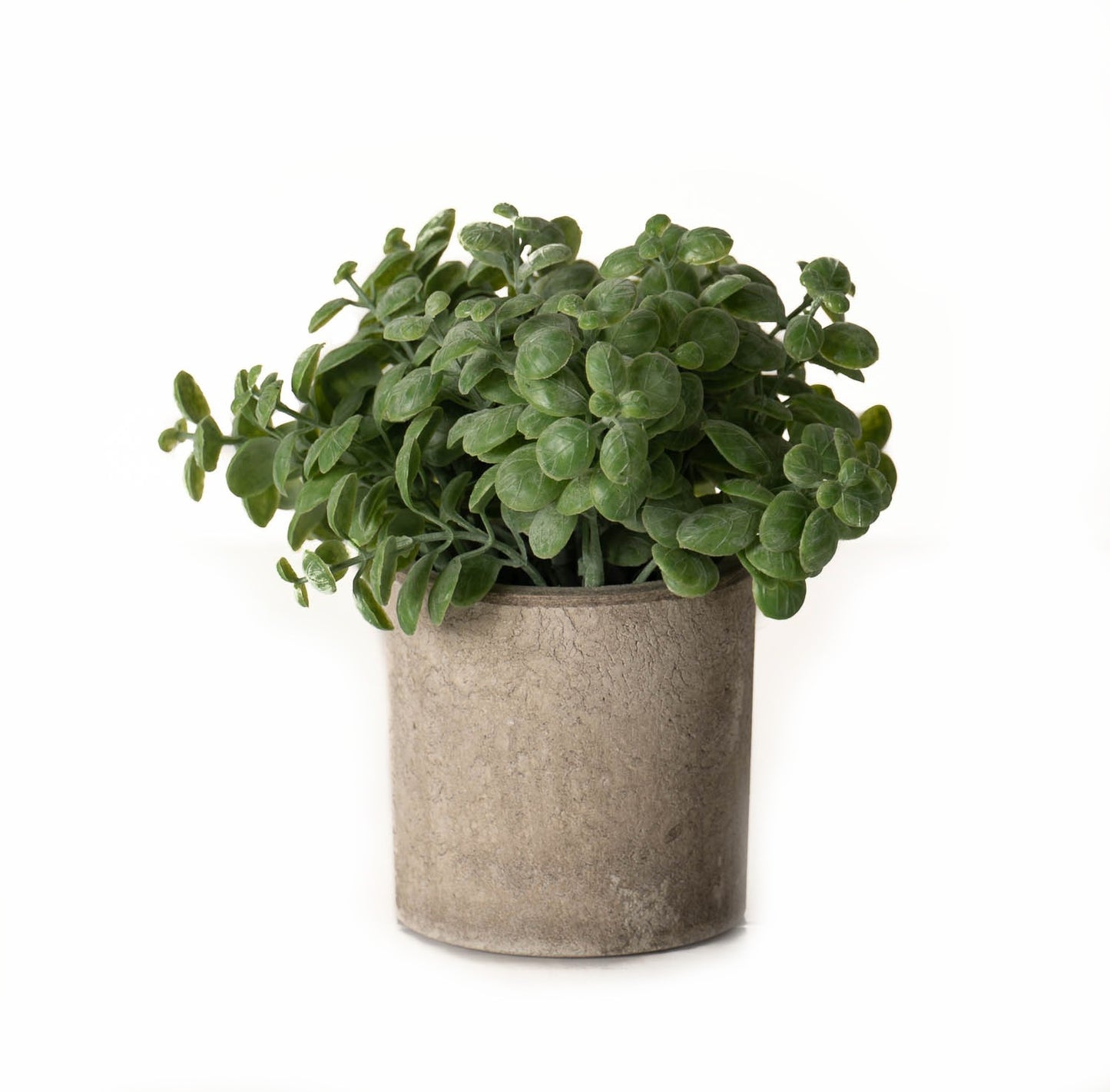Basil Artificial Plant In Stone Effect Pot