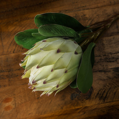 Set of 3 Artificial Flowers Large White Protea