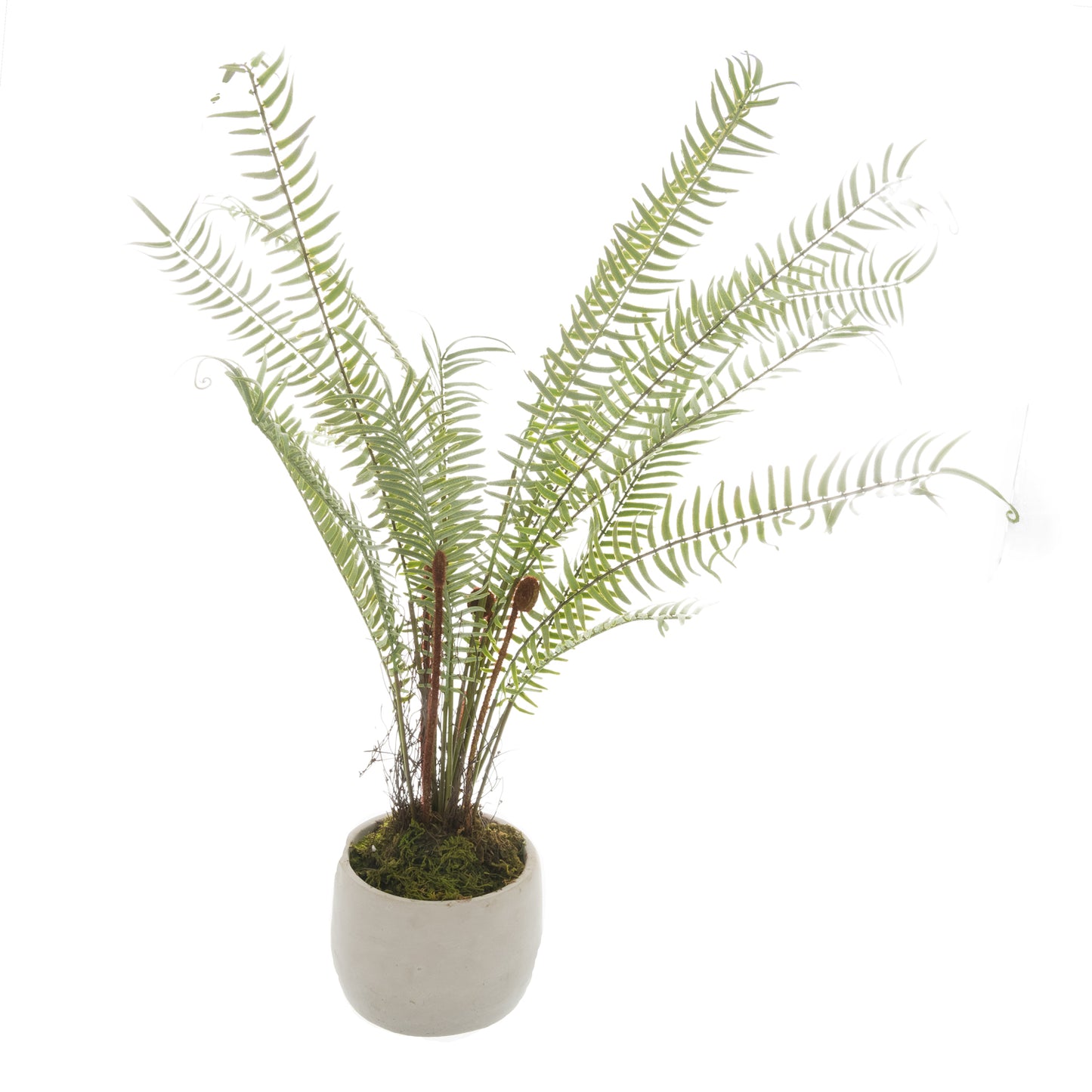 Artificial Boston Fern Plant with White Ceramic Pot