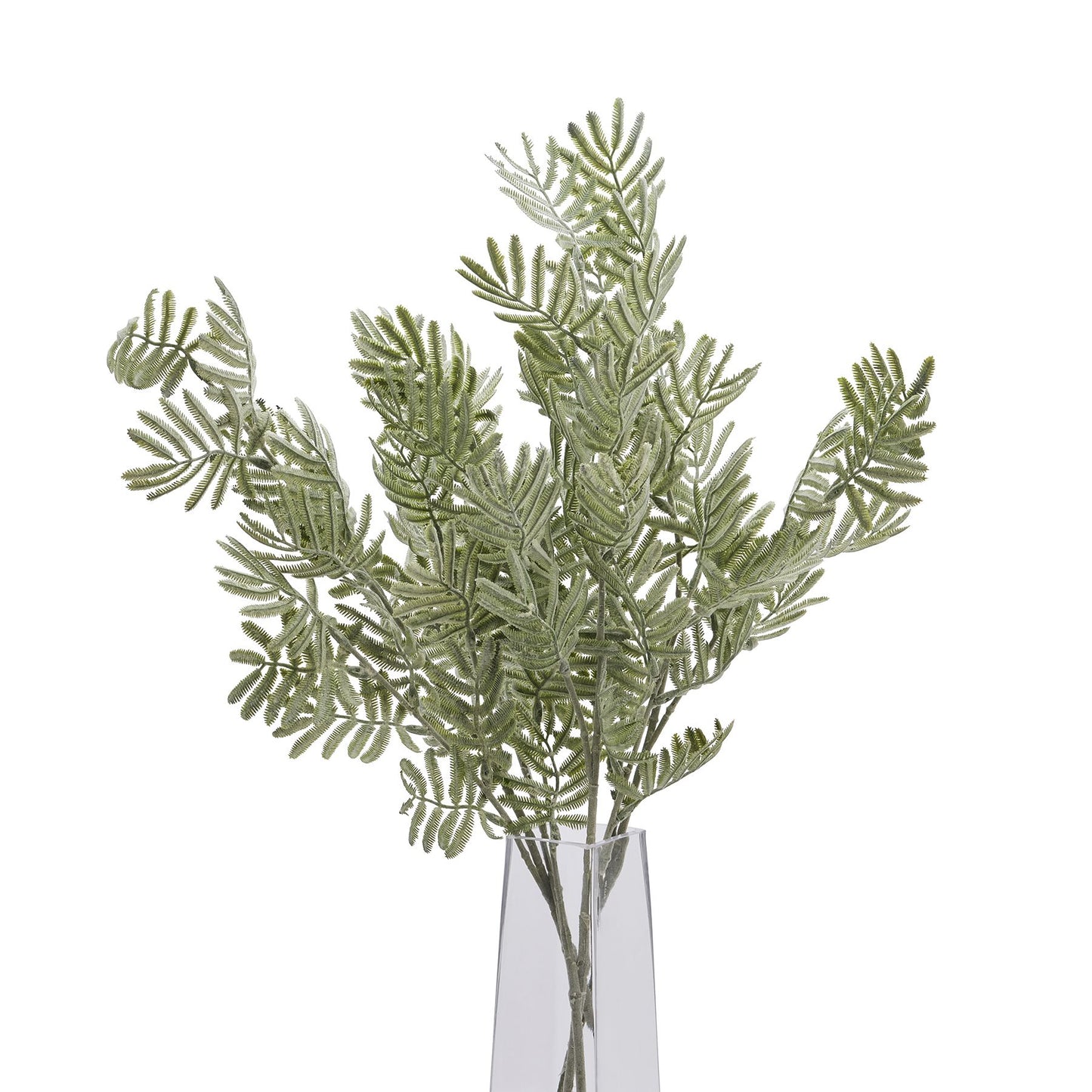 Set of 3 Artificial Flowers Silver Wattle Leaf Stems