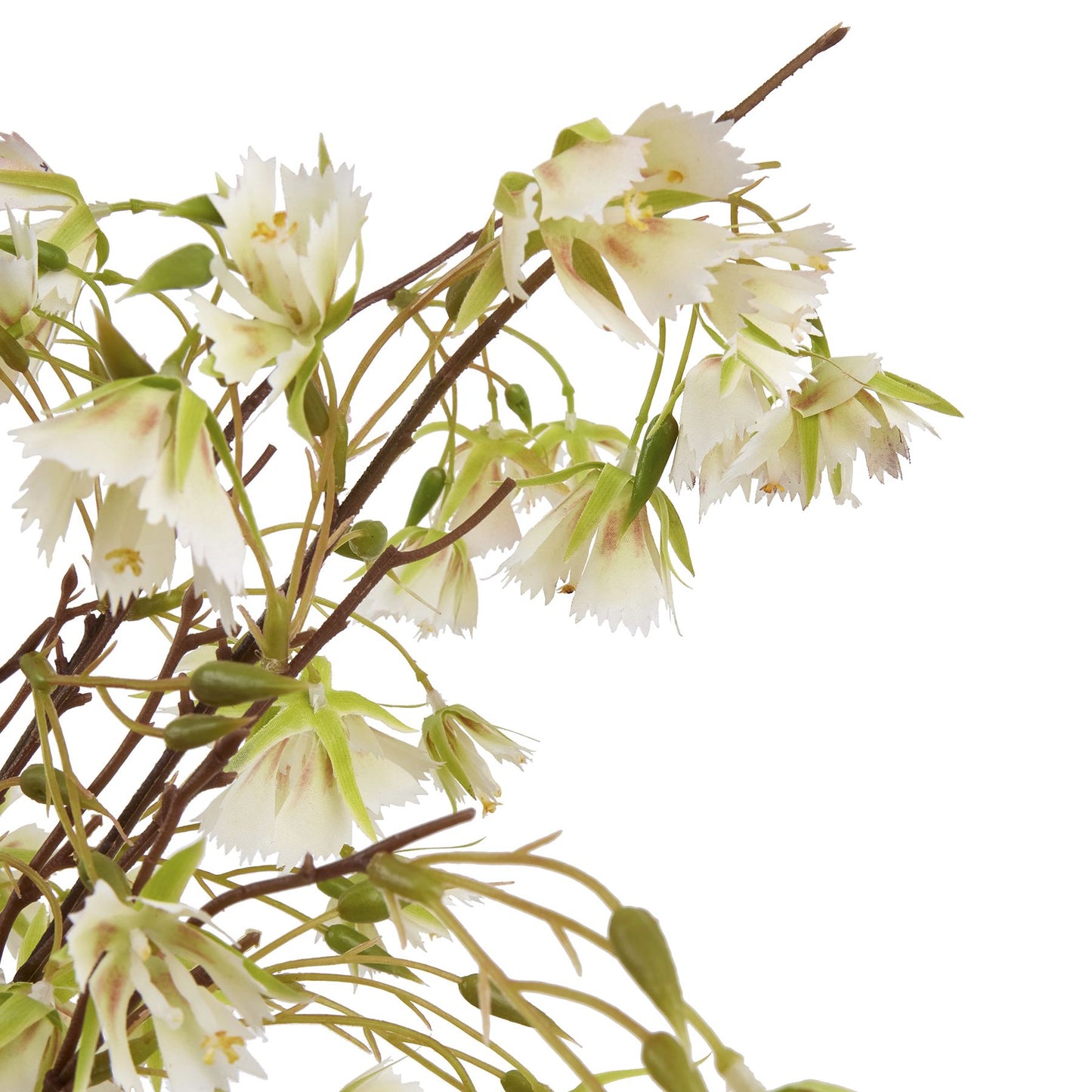 Set of 3 Artificial Flowers Elaeocarpus Stems