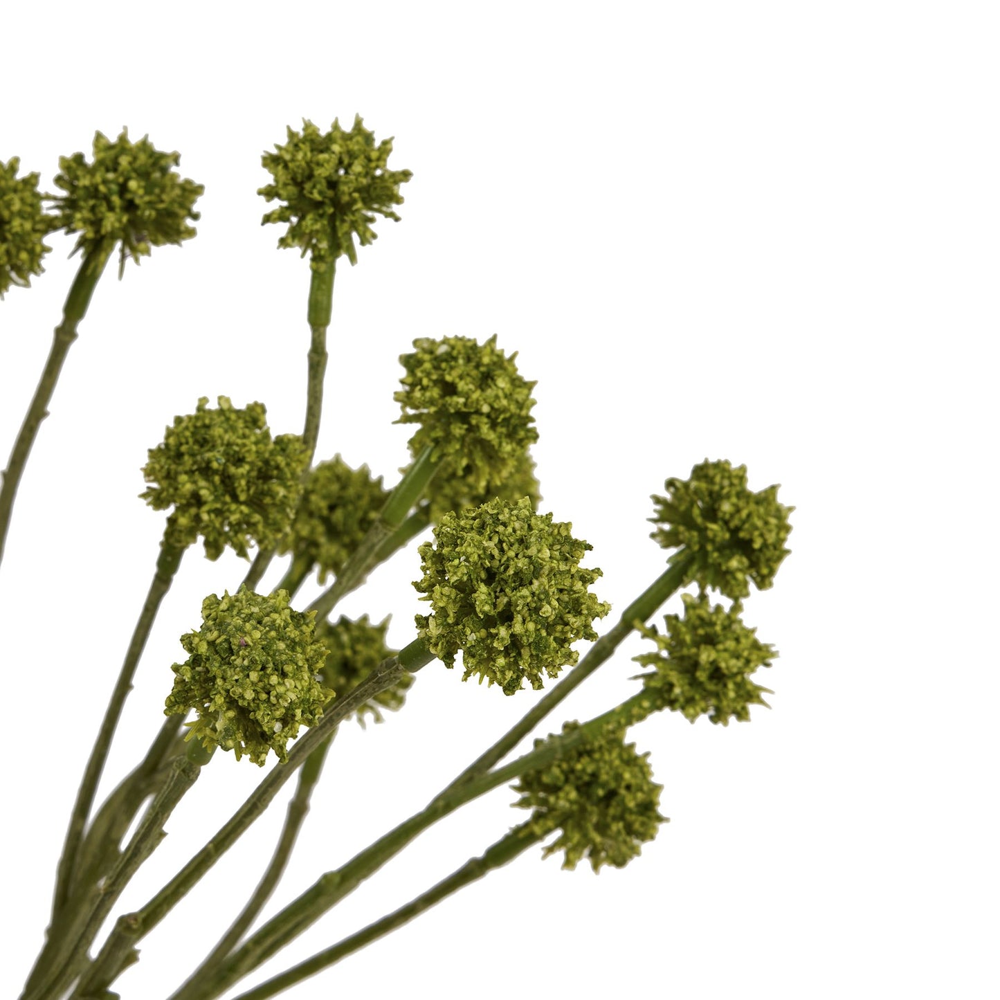 Set of 3 Artificial Flowers Green Craspedia Stems