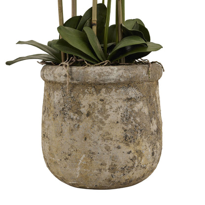 Artificial Plant Large White Orchid In Antique Stone Pot