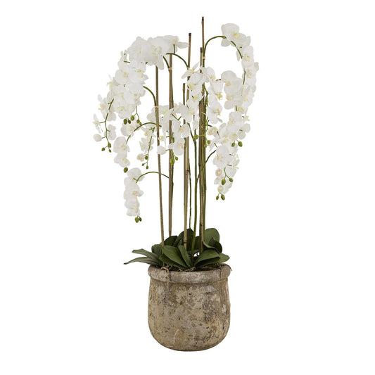 Artificial Plant Large White Orchid In Antique Stone Pot