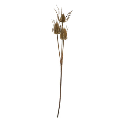 Set of 3 Artificial Flowers Large Brown Triple Teasle Stems