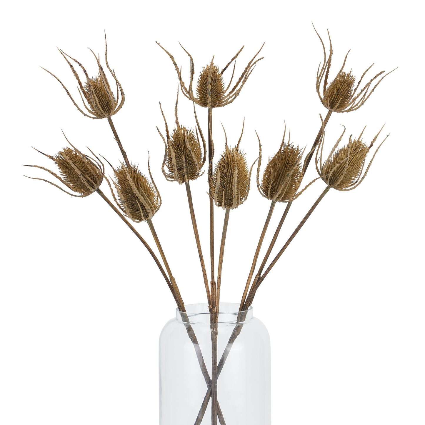 Set of 3 Artificial Flowers Large Brown Triple Teasle Stems