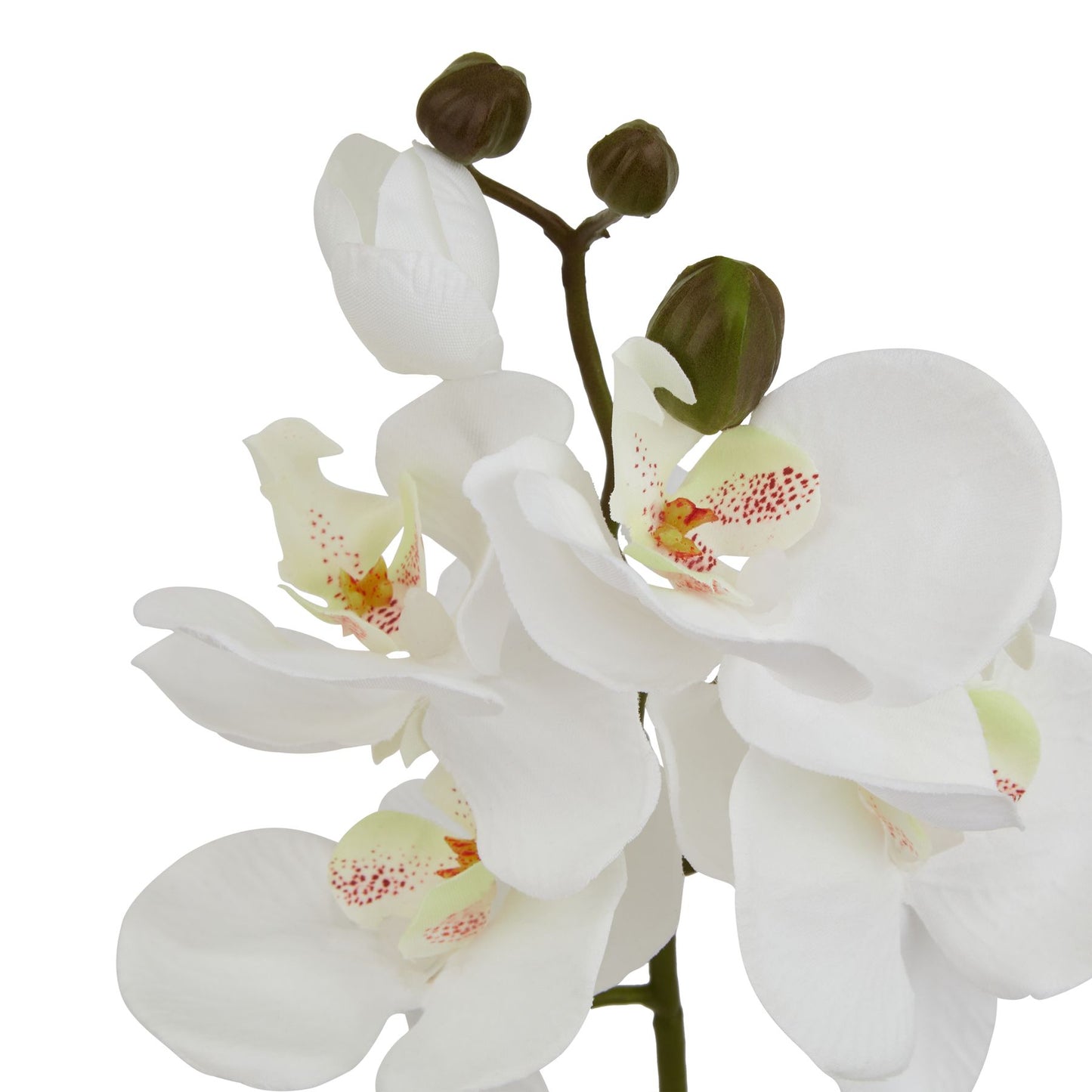 Set of 3 Artificial Flowers White Butterfly Orchid Stems