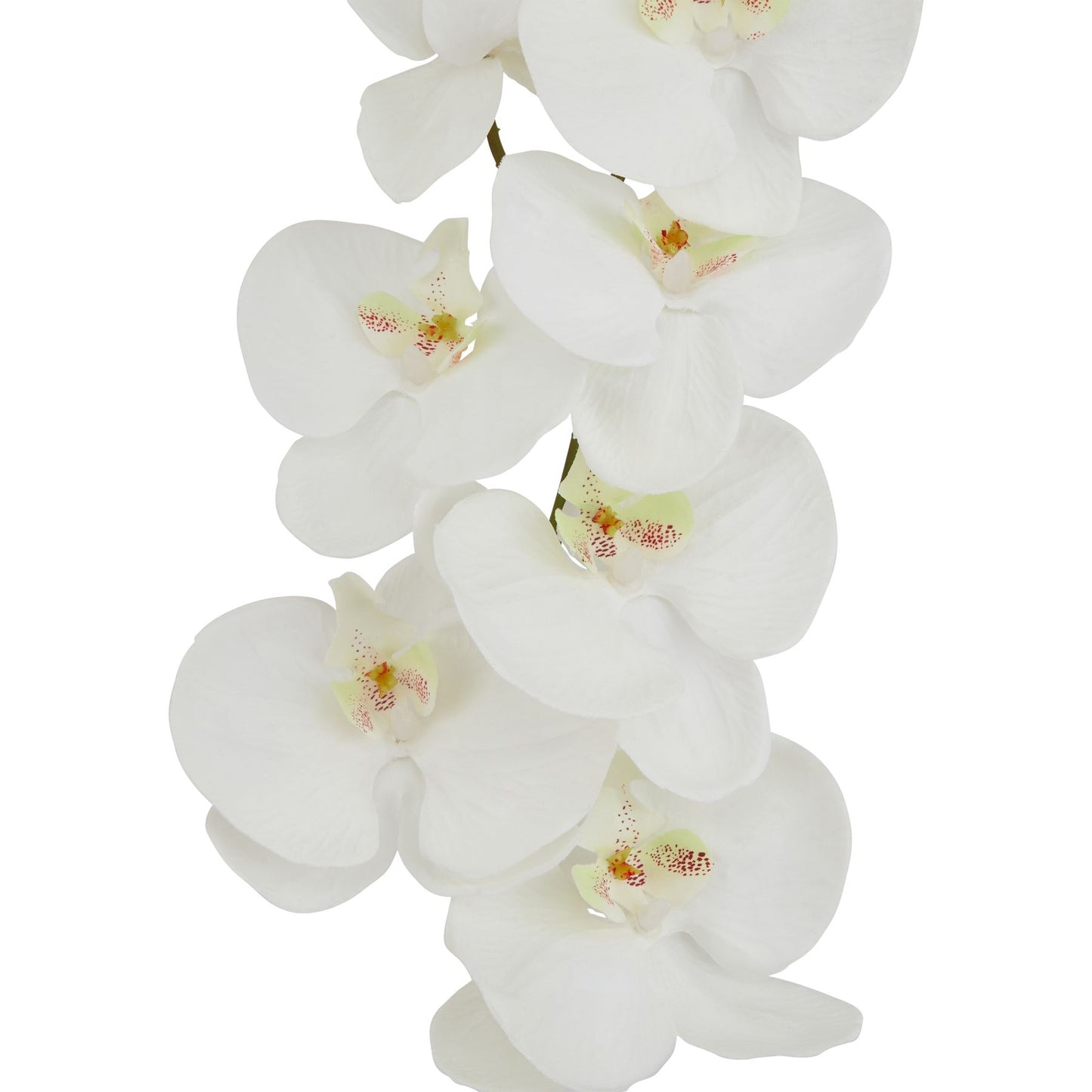 Set of 3 Artificial Flowers Large White Butterfly Orchid Stems