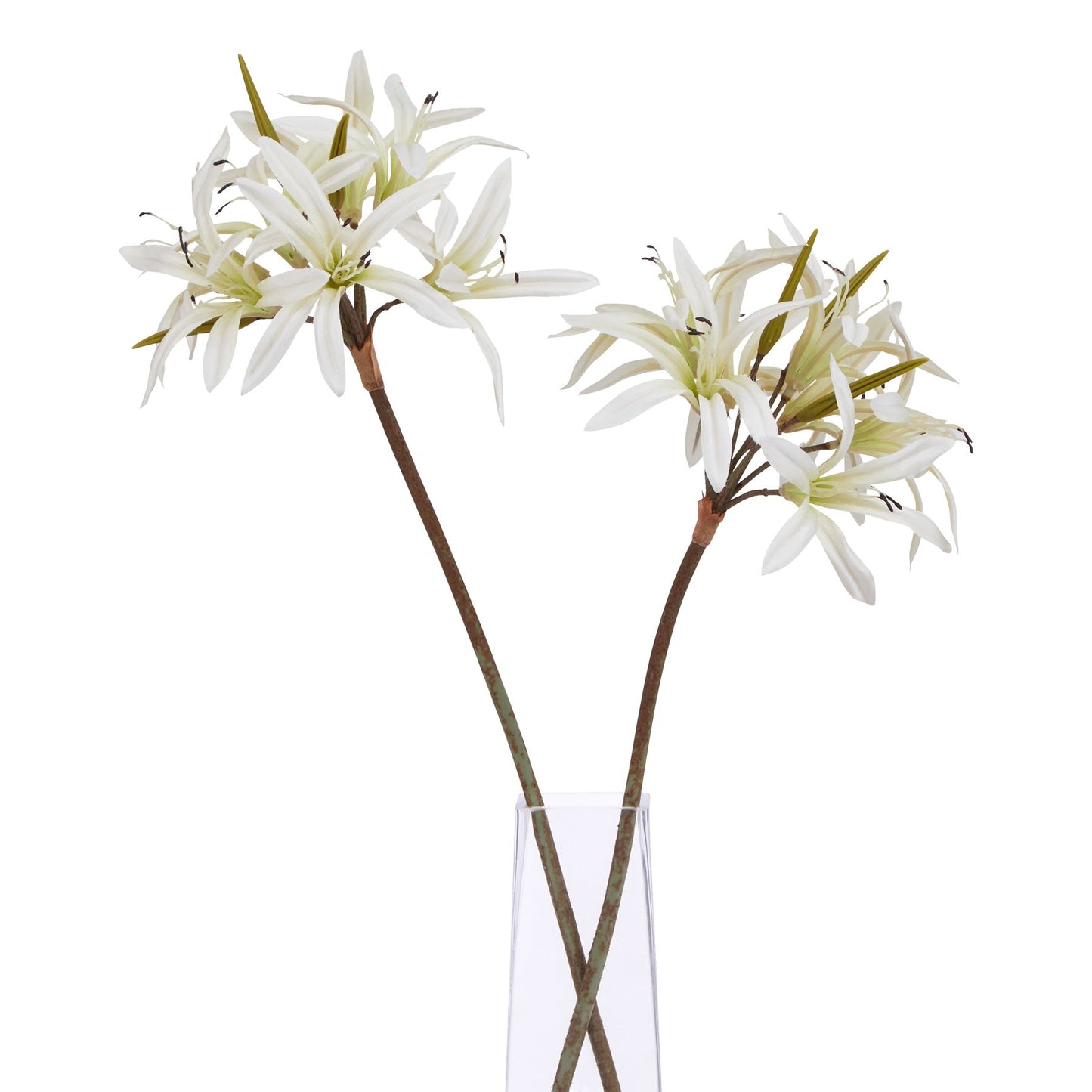 Set of 3 Artificial Flowers White Nerine Lily Stems