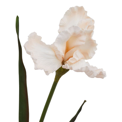 Set of 3 Artificial Flowers Pale Apricot Fringed Iris Stems