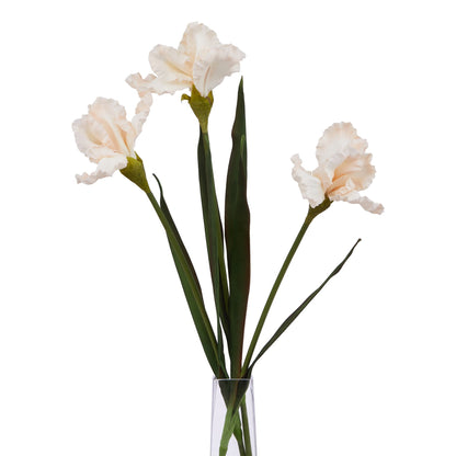Set of 3 Artificial Flowers Pale Apricot Fringed Iris Stems